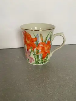SUZANNE CLEE DAYLILY