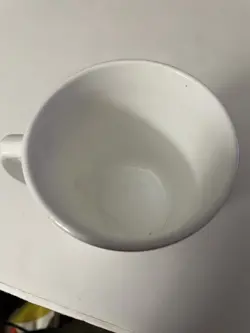 CAT CUP