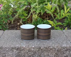 PYREX TERRA NO