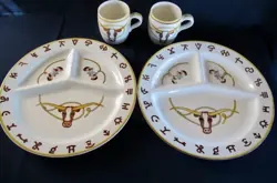 STEER DIVIDED PLATES