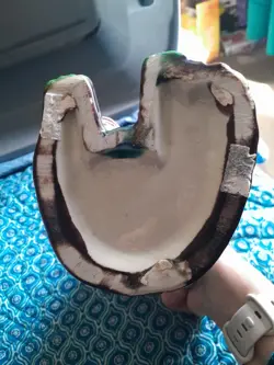CHIPS OR