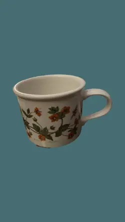 1818 PORTMEIRION