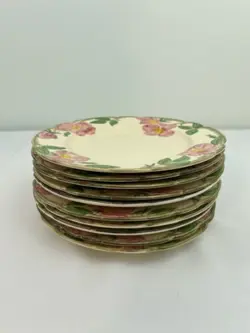 DINNER PLATES 10