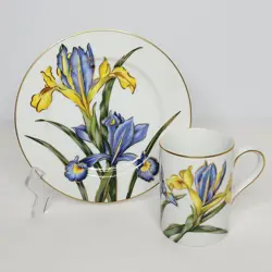 FLOYD IRIS DEUX