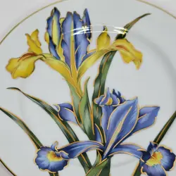 IRIS