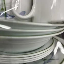 VINTAGE CORELLE SHADOW