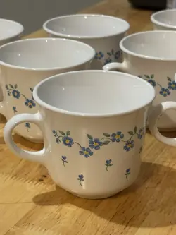 LIVINGWARE CORELLE