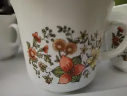 VINTAGE 1970 CORELLE