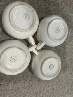 SOUP BOWLS