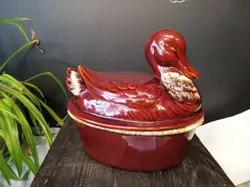 NESTING DUCK 10