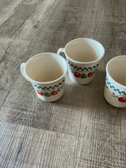 CORELLE FARM FRESH