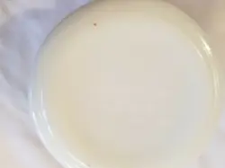 PYREX SPRING