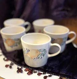 VINTAGE  CORELLE CORNING WARE ABUNDANCE COFFEE/TEA CUPS SET OF 5