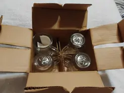 OF FANTASIA POINSETTIA