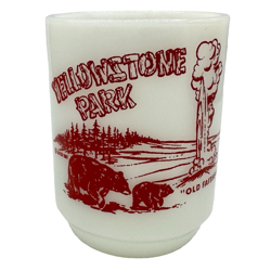 YELLOWSTONE PARK
