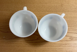 BLUE ONION COFFEE