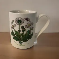 1972 PORTMEIRION BOTANIC GARDEN ~  BELLIS PERENNIS ~ DAISY ~ ROUND MUG CUP ~ VTG