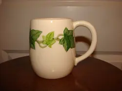 AMERICAN IVY