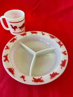 DIVIDED PLATE AND