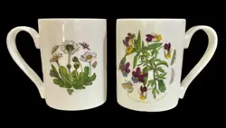 PORTMEIRION BOTANIC GARDEN COFFEE MUGS VINTAGE 1972  (SET OF 2) EUC