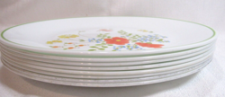 PLATES GC