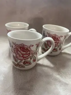 OF ROSE CHINTZ