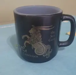 CAPRICORN BLACK