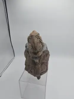 TANKARD MUG POOPING