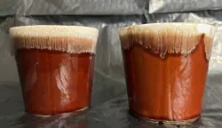CUPS HANDLE USA