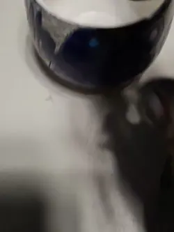 WINE GLASS