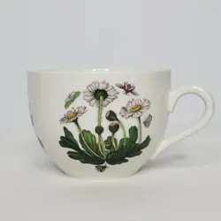 GARDEN DAISY 5
