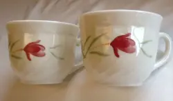 TEA CUPS WHITE