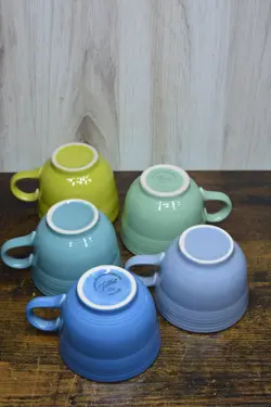 FIESTA VTG