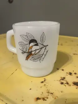 ORIOLE CHICKADEE