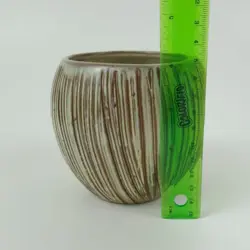 PLANTER BROWN