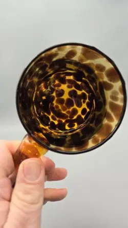 TORTOISE