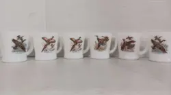BIRDS WATER