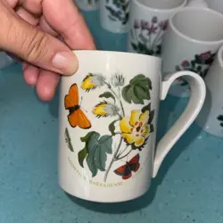 SET OF MULTICOLOR