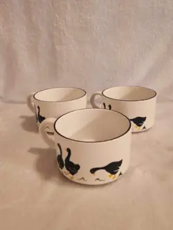 GEESE DUCK SOUP