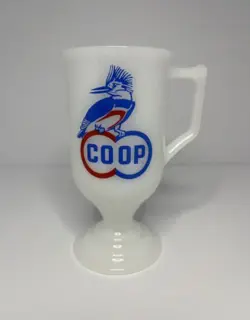 JAY BIRD COOP