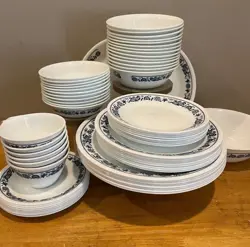 ONION REPLACEMENT DISHES