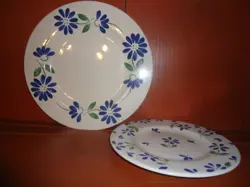ONE LUNCH PLATE-