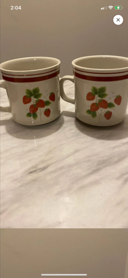 FUJISTONE VINTAGE MUGS