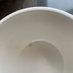 MUGS ATOMIC
