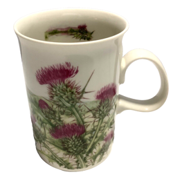 JANE FERN WILDFLOWERS
