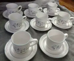 SAUCERS ASHBERRY