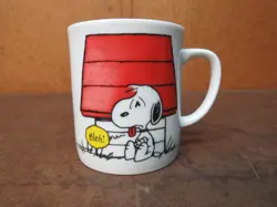 DOGHOUSE