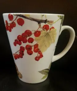 FRUIT HAVEN BEVERAGE