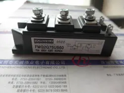 MODULE FMG2G75US60 #W5