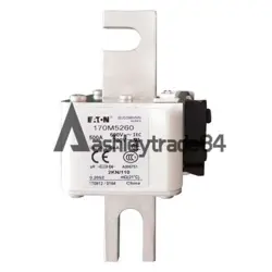 NEW 1PCS   BUSS 170M5260 SEMICONDUCTOR FUSE #A6-40
